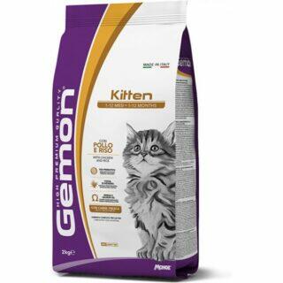 Gemon Kitten With Chicken