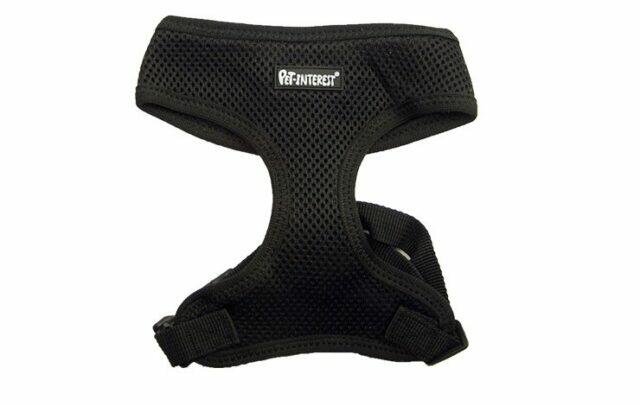 Mesh Plain color Harness