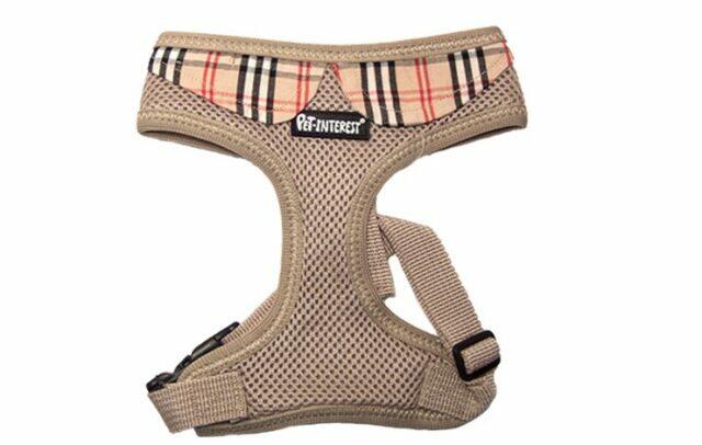 Mesh Plain color Harness