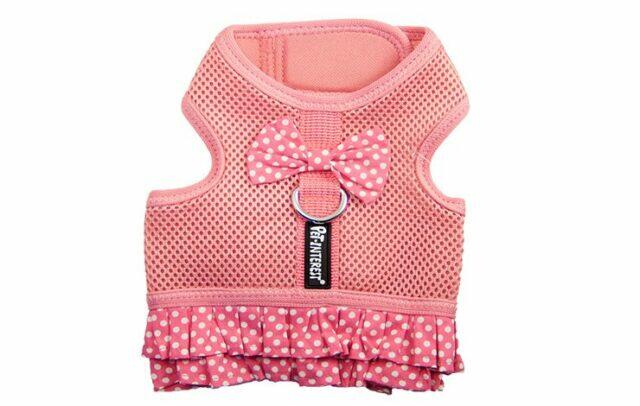 Dots Mesh Harness with Skirt
