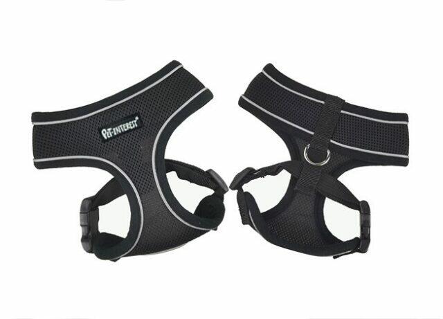 Mesh Harness with Reflective Piping