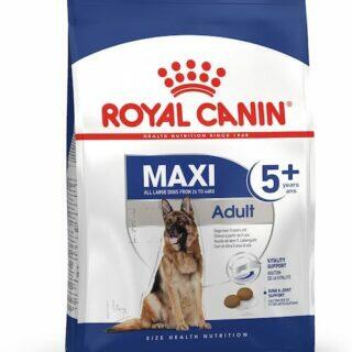 Royal Canin Maxi Adult 5+