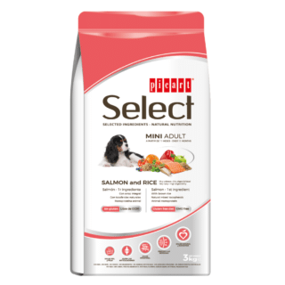 Picart Select Mini Adult Salmon & Rice