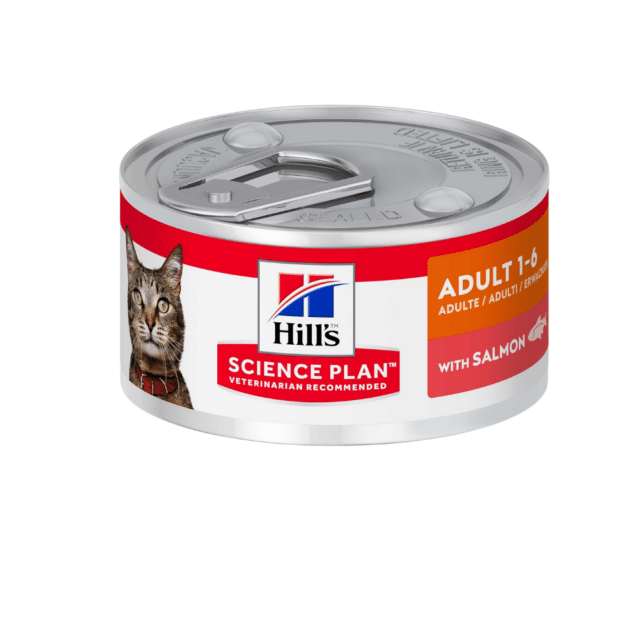 Hills Adult Salmon Can 82g