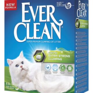Ever Clean Extra Strong Scented