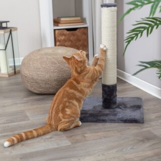 BATRES SCRATCHING POST 62 CM PLATINUM GREY