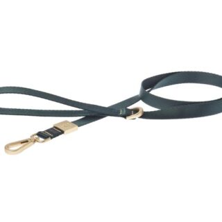 MIDA LEASH 120x2cm GREEN