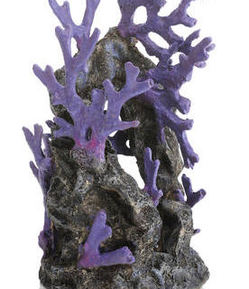 BIORB-REEF ORNAMNET PURPLE