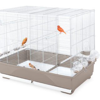 Imac - Bird Cage Tasha