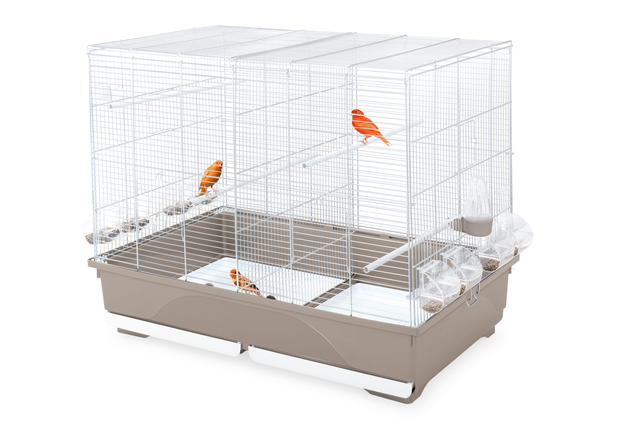 Imac - Bird Cage Tasha