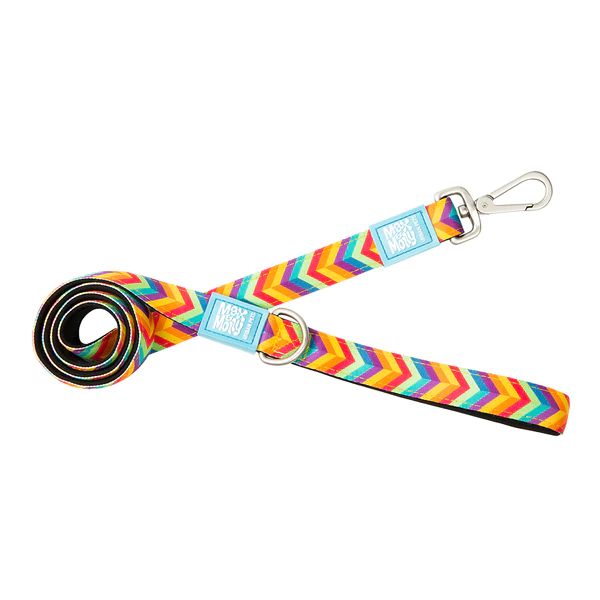 SHORT LEASH SUMMERTIME M