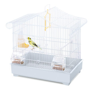 Imac- Bird Cage Sonia