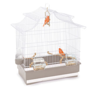 Imac- Bird Cage Pagoda