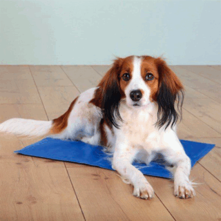 Trixie Cooling mat  Small