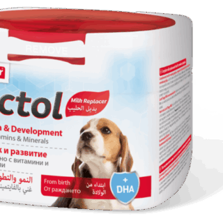 LACTOL PUPPY 250GR