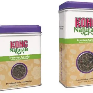 KONG PREMIUM CATNIP