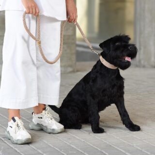 UNICORD HANDCRAFTED SAILOR’S KNOT LEASH