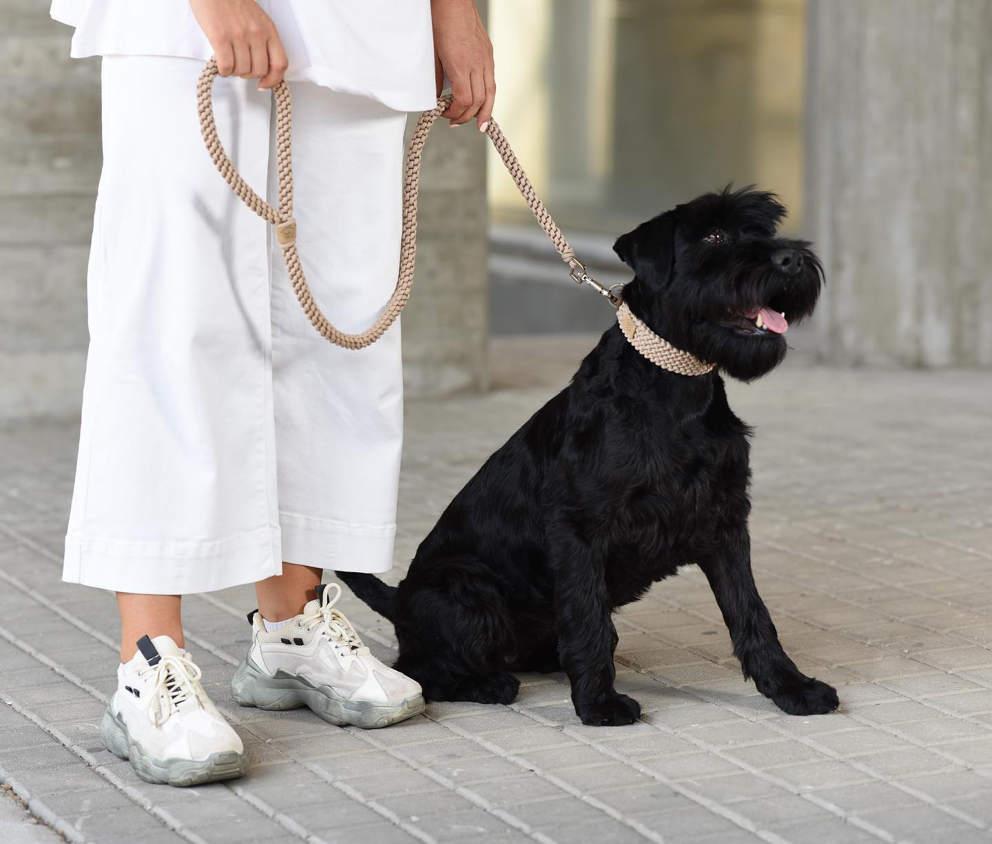 UNICORD HANDCRAFTED SAILOR’S KNOT LEASH