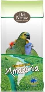 22-AMAZON PARK AMAZONA
