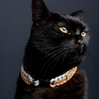UNICORD PIANO MELODY ORANGE CAT COLLAR