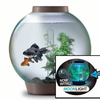 BIORB – 15L SILVER & MOONLIGHT LED LIGHT