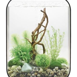 BIORB – LIFE 15 LED