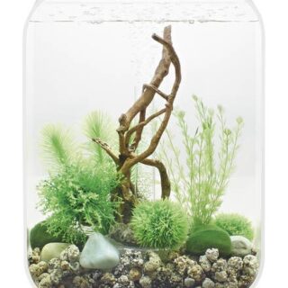 BIORB – LIFE 15 MCR TRANSPARENT