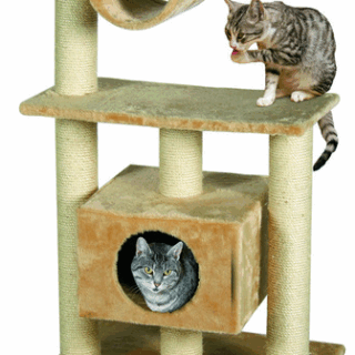 SCRATCHING POLE LEONTINE