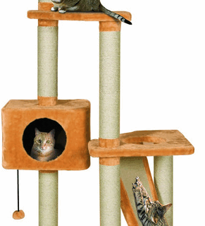 SCRATCHING POLE JANGA