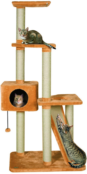 SCRATCHING POLE JANGA