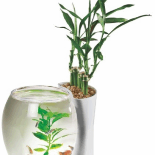 NATURAL WORLD AQUARIUM SIGLE TANK