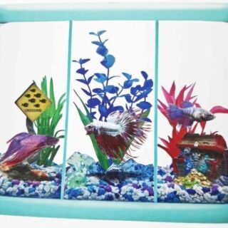 BETTA HOME 3
