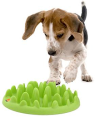 GREEN SLOW DOG FEEDER