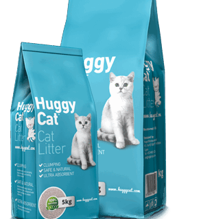 Huggy Cat
