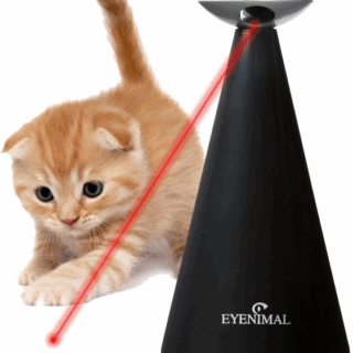 CAT LASER TOY