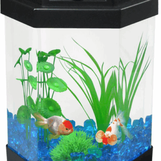 AQUARIUM 24.2x24.2x31cm