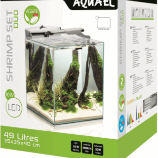 SHRIMP SET 35 WHITE DUO