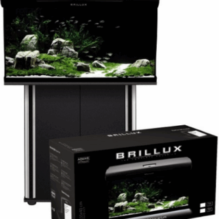 BRILUX 80 OVAL