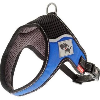 harness Everest blue
