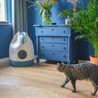 DISTRICT 70 - CASA DENIM BLUE