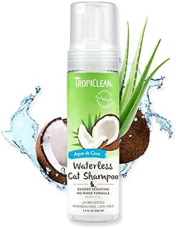 SHAMPOO WATERL.CAT DAND