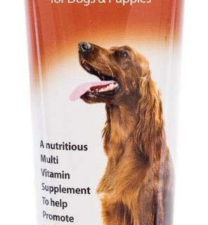 Johnsons Vit-Min Paste Dogs 100g