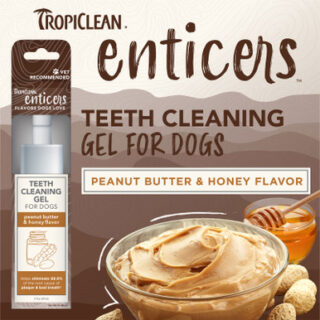 ENTICERS GEL peanut butter & honey flavor