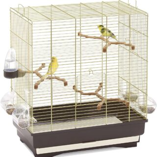 Imac-Carlotta Gold/Brown Bird Cage