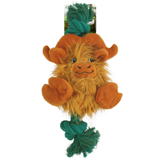 AFP – Big Foot Buffalo