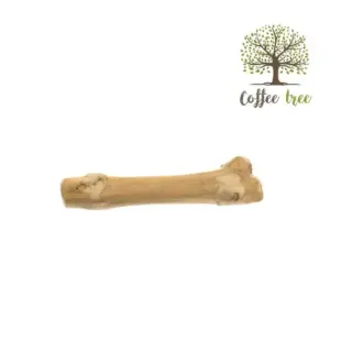 Osso Java Bone Medium