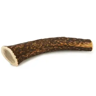 BZ DOG SNACK DEER ANTLER S L