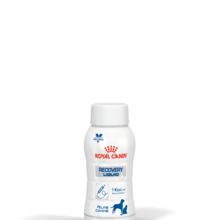 Royal Canin Cat/ Dog  Recovery Liquid 200ml