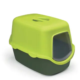 CATHY LIME GREEN PINE