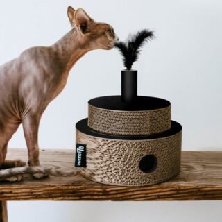 DISTRICT 70 - FIESTA BLACK